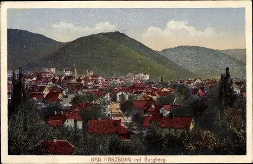 Ak Bad Harzburg am Harz, Burgberg