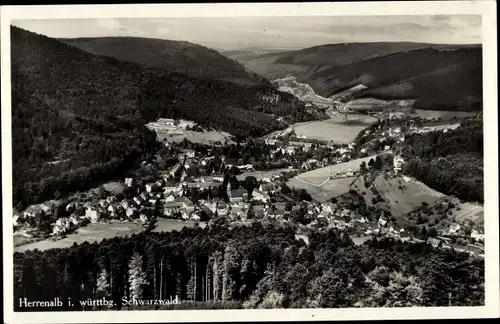 Ak Bad Herrenalb im Schwarzwald, Panorama