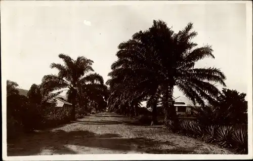 Ak Uvira RD Kongo Zaire, eine Allee, Palmen