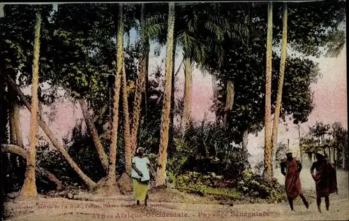 Ak Senegal, senegalesische Landschaft