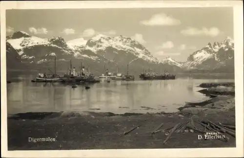 Ak Digermulen Norwegen, Panorama, Boote