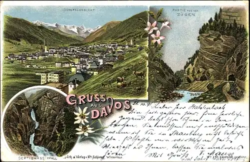 Litho Davos Kanton Graubünden, Generalansicht, Wasserfall, Edelweiß