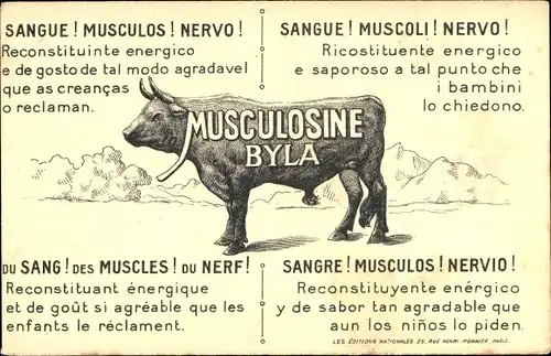 Künstler Ak Lessieux, L., Bylas Musculosin, XIII. Marokko