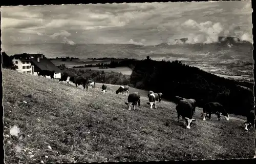 Ak Massif des Voirons Haute-Savoie, Kinderheim, Mont-Joie