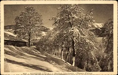 Ak Megève Haute Savoie, Wintersportort