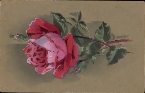 Künstler Ak Rote Rosenblüte