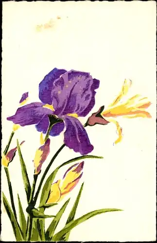 Handgemalt Ak Iris und gelbe Blüten