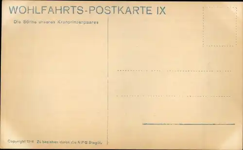 Ak Söhne des Kronprinzenpaares, Prinz Wilhelm, Louis Ferdinand, Hubertus, Friedrich, Cecilienhilfe