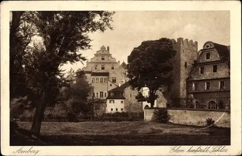Ak Amberg in der Oberpfalz Bayern, Schloss