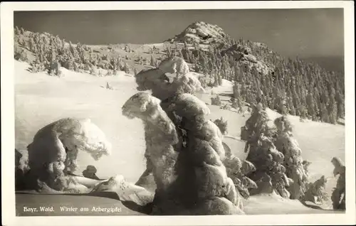 Ak Bayerisch Eisenstein in Niederbayern, Großer Arber, Winter am Arbergipfel