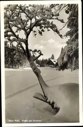 Ak Bayerisch Eisenstein in Niederbayern, Winter am Arbersee