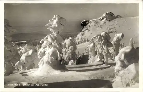 Ak Bayerisch Eisenstein in Niederbayern, Winter am Arbergipfel