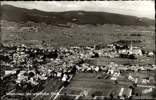 Ak Edenkoben an der Haardt Pfalz, Ortspanorama