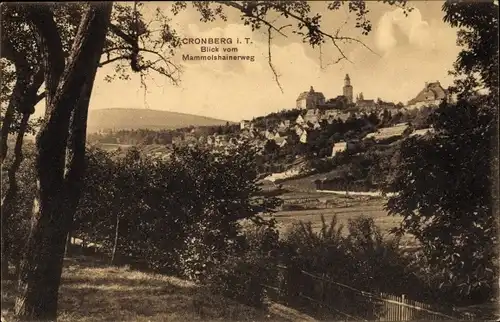 Ak Kronberg im Taunus, Ortsansicht