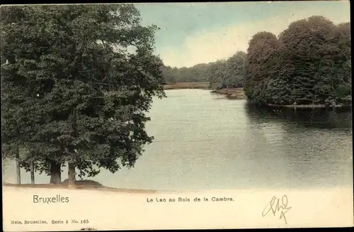 Ak Brüssel Brüssel, Le Lac au Bois de la Cambre