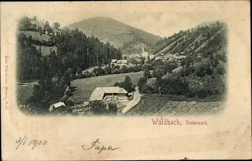 Ak Waldbach Steiermark, Gesamtansicht