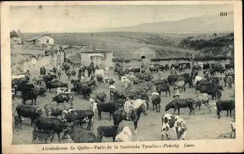 AK Ecuador, Umgebung von Quito, Hacienda Tesalia