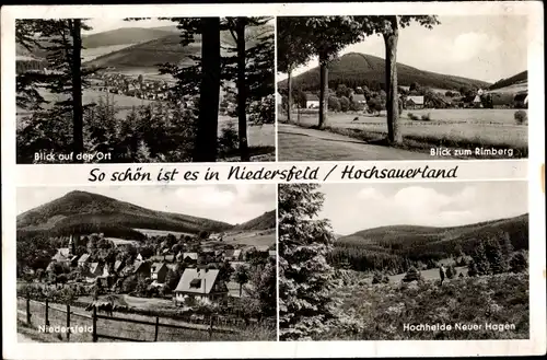 Ak Niedersfeld Winterberg im Sauerland, Blick zum Rimberg, Hochheide Neuer Hagen, Teilansicht