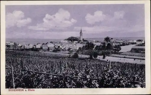 Ak Bodenheim in Rheinhessen, Totalansicht