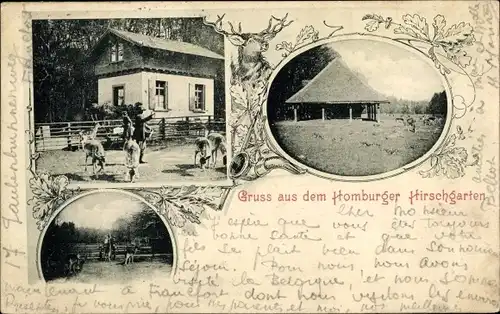 Ak Bad Homburg vor der Höhe Hessen, Partie im Hirschgarten
