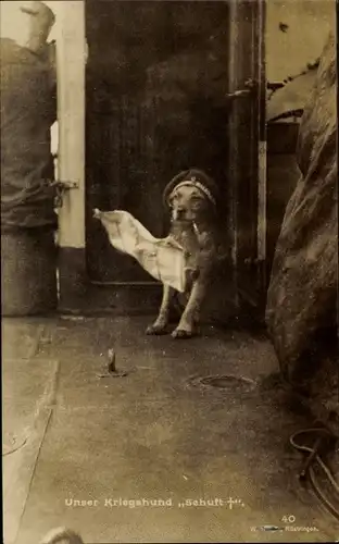 Ak Kriegshund in Uniform und Pfeife, Hund Sehuft