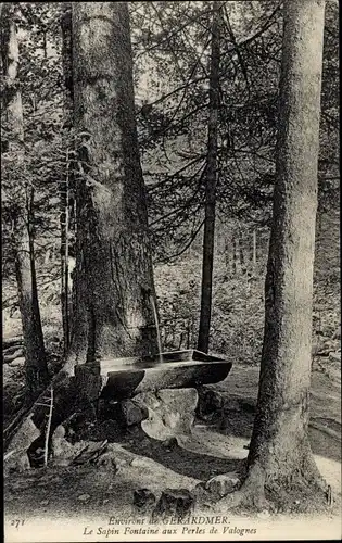 Ak Gérardmer Lothringen Vosges, Sapin Fontaine aux Perles de Valognes