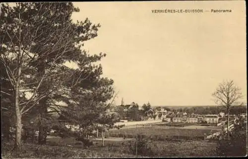 Ak Verrières le Buisson Essonne, Panorama