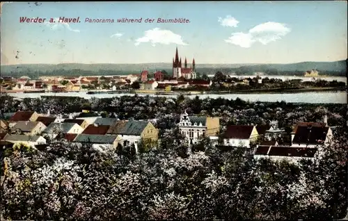 Ak Werder an der Havel, Panorama während der Baumblüte