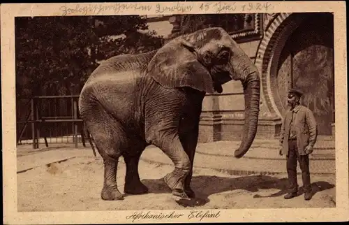 Ak Berlin Tiergarten, Zoologischer Garten, Afrikanischer Elefant, Tierpfleger