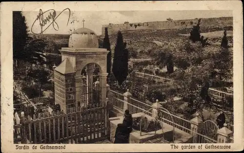 Ak Jerusalem Israel, Garten Gethsemane