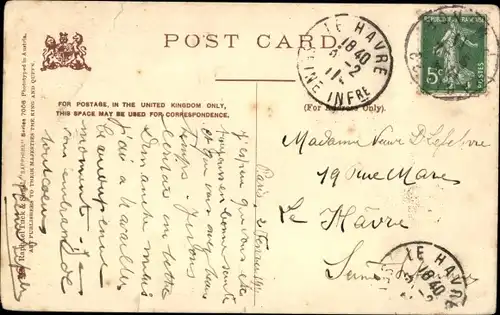 Ak Drei Katzen, Tierportrait, Katzenmutter