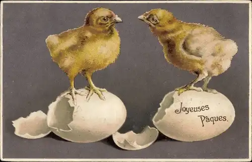 Ak Glückwunsch Ostern, Küken, Ostereier, Eierschalen