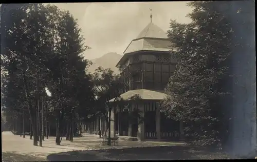 Foto Ak Bad Reichenhall in Oberbayern, Gebäude, Allee