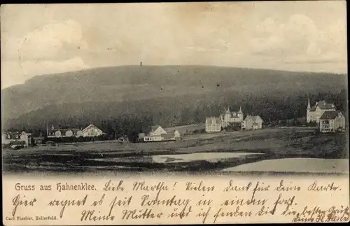 Ak Hahnenklee Bockswiese Goslar im Harz, Panorama