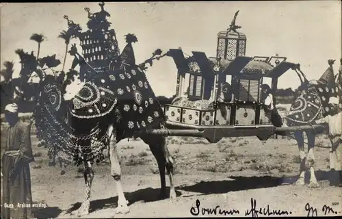 Ak Ägypten, Kamel mit Sänften