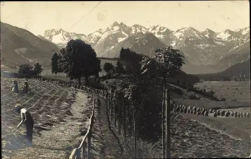 Ak Allgäu, bewirtschaften eines Feldes, Gebirge