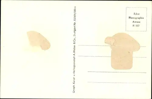 Ak Bayreuth in Oberfranken, Neues Schloss