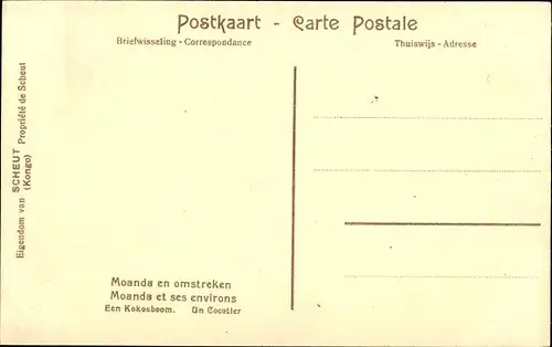 Ak Moanda DR Kongo Zaire, Kokospalme