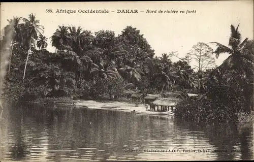 Ak Senengal, Flussufer im Wald