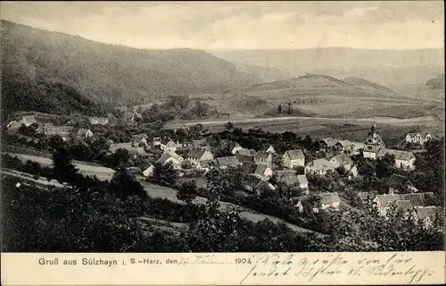 Ak Sülzhayn Ellrich Thüringen, Ortsansicht