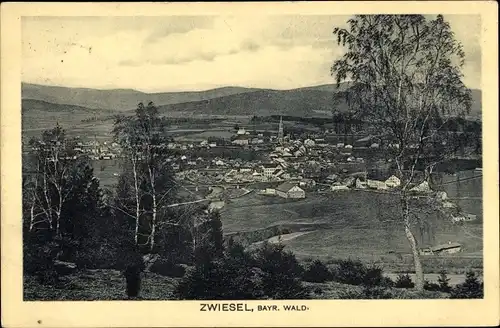 Ak Zwiesel im Bayerischen Wald, Panorama
