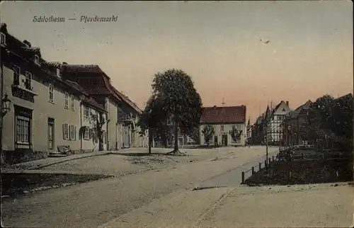 Ak Schlotheim in Thüringen, Pferdemarkt