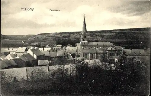 Ak Petigny Couvin Wallonien Namur, Panorama