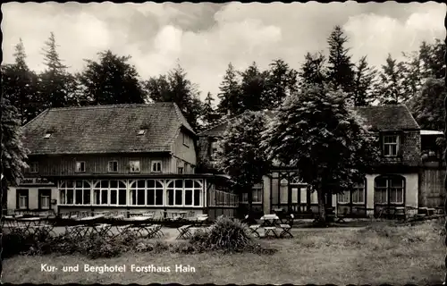 Ak Hain Hayn Oybin Oberlausitz, Kur- und Berghotel Forsthaus Hain