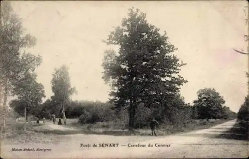 Ak Forêt de Sénart Essonne, Carrefour du Cormier