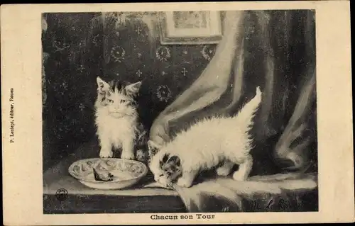 Ak Zwei junge Katzen, Teller
