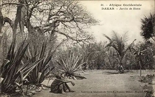 Ak Dakar Senegal, Garten von Hann