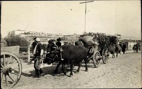 Foto Ak Prilep Mazedonien, Straßenpartie, Rinderkarren