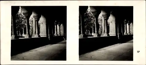 Stereo Foto Bonn in Nordrhein Westfalen, Teil im Münster