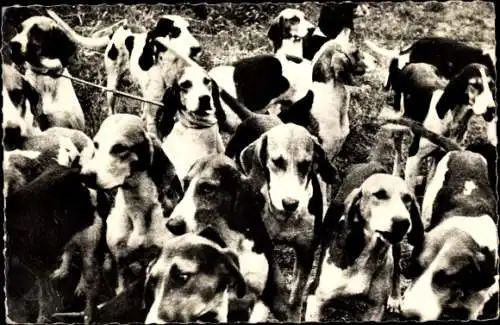 Ak Villers Cotterêts Aisne, Rallye Foret de Retz - Meute